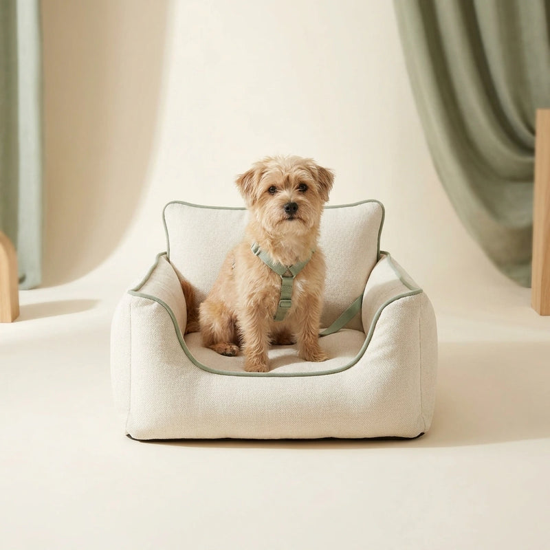 Small dog in a cosy elevated dog car seat – Petifo Dog Car Seats & Travel
