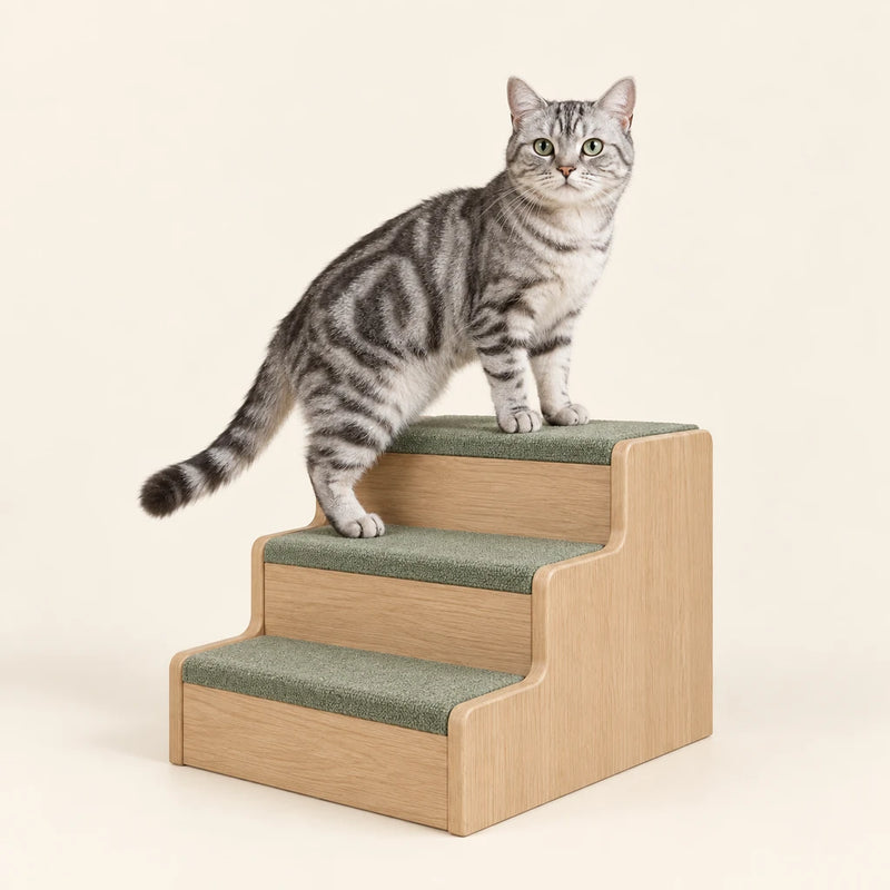 Silver tabby cat on wooden cat steps with sage treads – Petifo