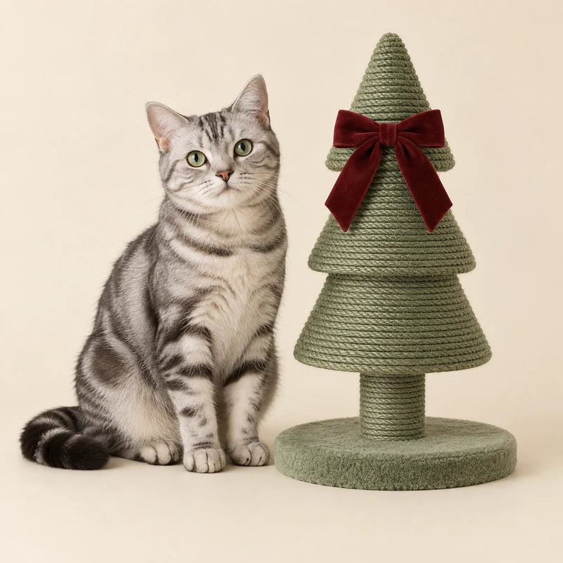 Silver tabby beside a Christmas tree scratching post on a clean cream background - Petifo