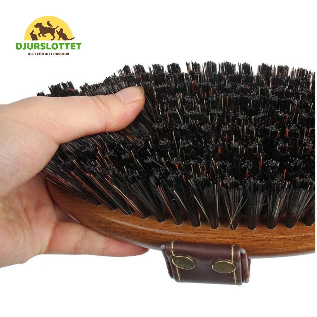 2-pack Premium Horse Brush in Wood Dense bristles - Petifo
