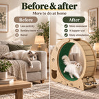 Before and after enrichment with the 5-in-1 cat wheel and tree