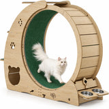 Ruota e albero per gatti 5 in 1