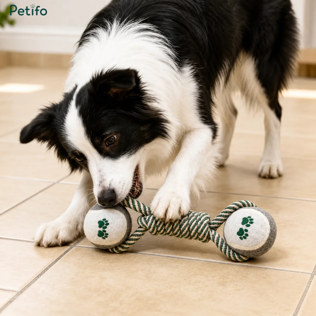 Giocattolo da masticare ChewUp per cani