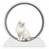 Ruota per l’esercizio dei gatti