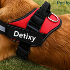 A close-up view of a red "Detixy" dog harness resting on a golden retriever's back, featuring a sturdy handle, metal leash ring, quick-release buckle, and reflective trim, branded with the Petifo logo.