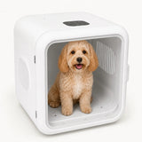 Box asciugatore Petdryer per cani e gatti