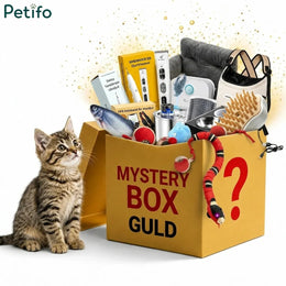 Gatto
