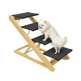 Gradini e rampa per cani 2 in 1 PawHut