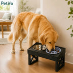 Golden Retriever eating from Petifo elevated black dog feeder stand with slow feeder bowl