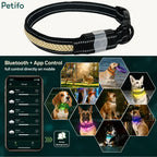 Bluetooth and app control interface showing group management for multiple dogs wearing glowing LED collars across various outdoor scenes.