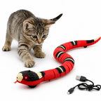 Automatic Toy Snake for Cats - Petifo