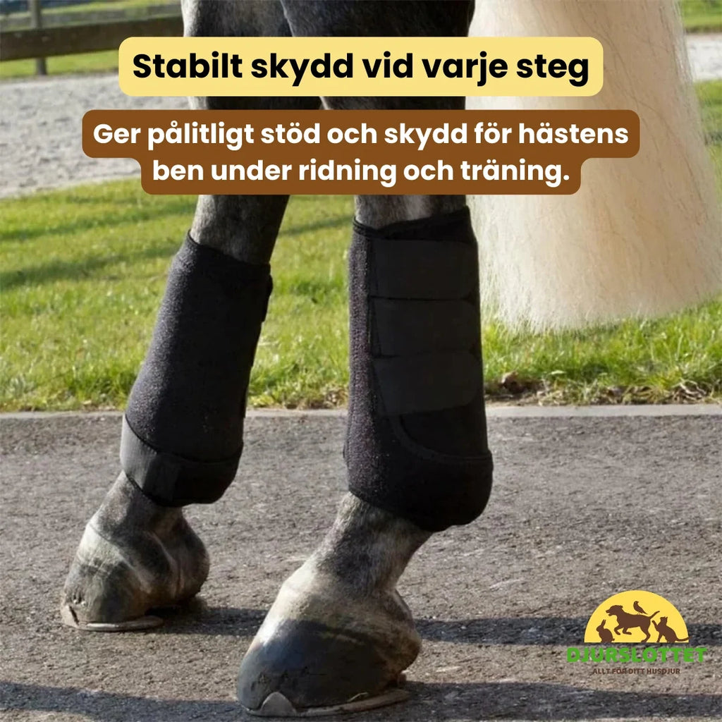 Leg Boots for Horse Stable protection at every step - Petifo