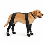 Stivaletti invernali per cani con cinghia a H SnowGrip