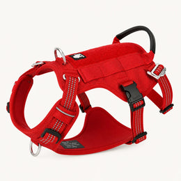 Rosso