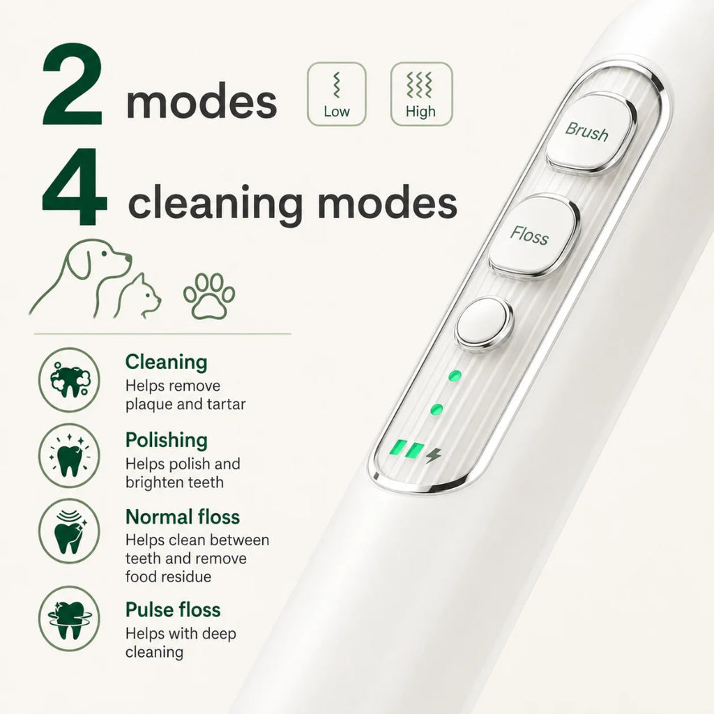 Close-up of a white electric pet toothbrush highlighting its 2 intensity strengths and 4 dental cleaning modes.