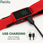 Close-up of USB charging port on Petifo LED dog leash