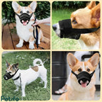 Grid of four photos showing Corgis and other small dogs wearing the comfortable black mesh muzzle during walks.