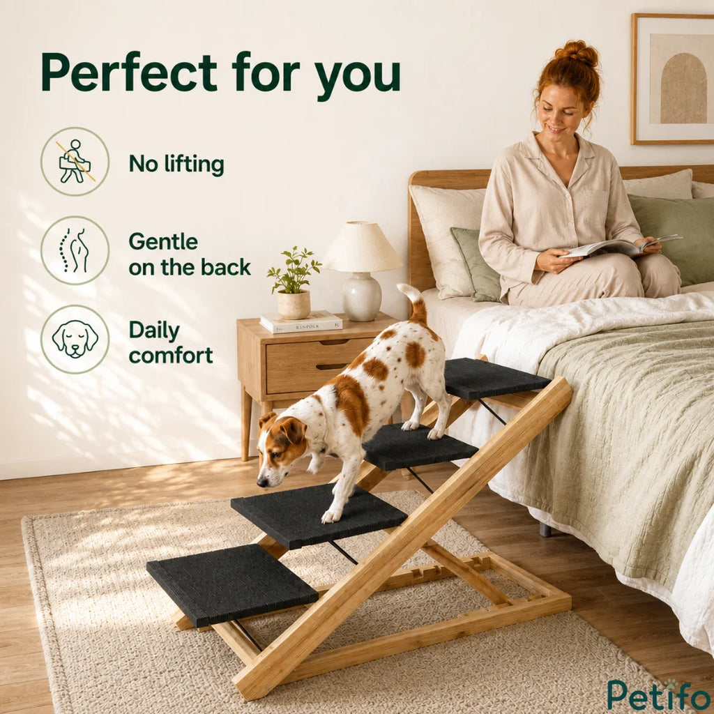 Small dog safely descending wooden pet stairs from a bed while its owner watches comfortably.