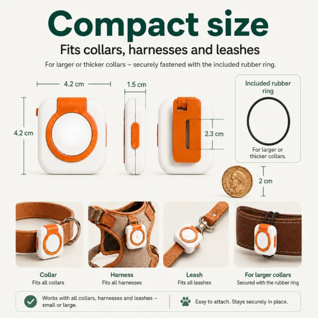 Compact pet GPS tracker size dimensions fitting collars harnesses and leashes Petifo