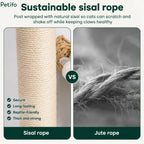 Comparison infographic highlighting the benefits of sustainable, thick sisal rope versus standard jute rope for cat scratching posts.