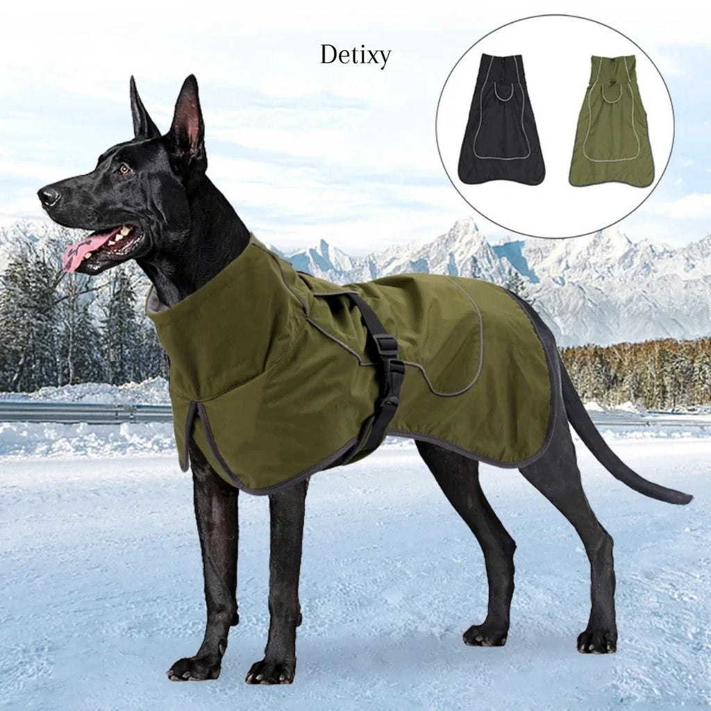 Detixy Rain Coat Colours - Petifo