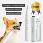 Detixy Ultrasonic Tooth Scaler Recommended by vets -Petifo