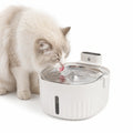 Detixy Wireless Water Fountain - Petifo