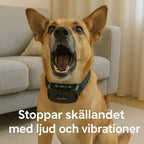 Petifo's anti-bark collar in black on a dog