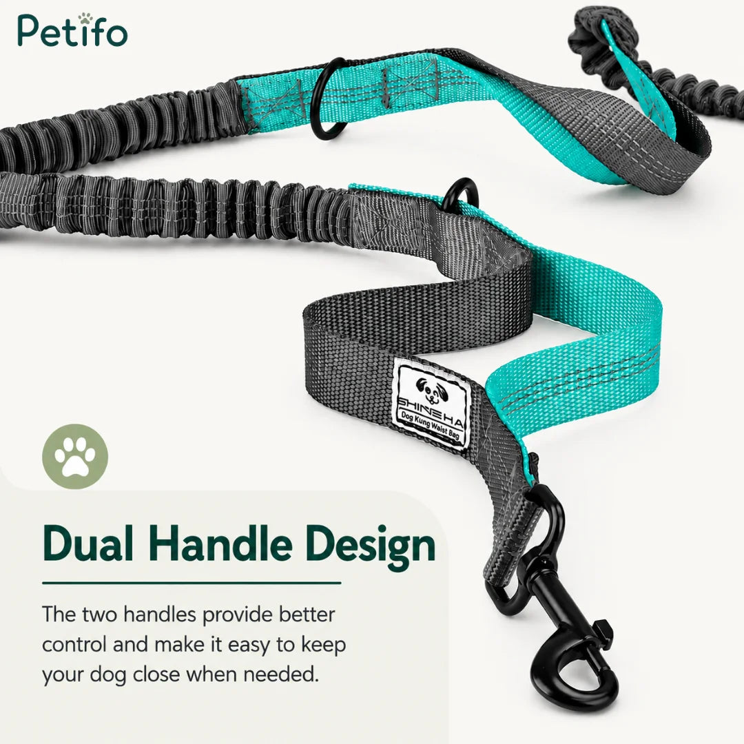 Close-up view of the dual-handle design on the bungee leash for enhanced dog control and safety.