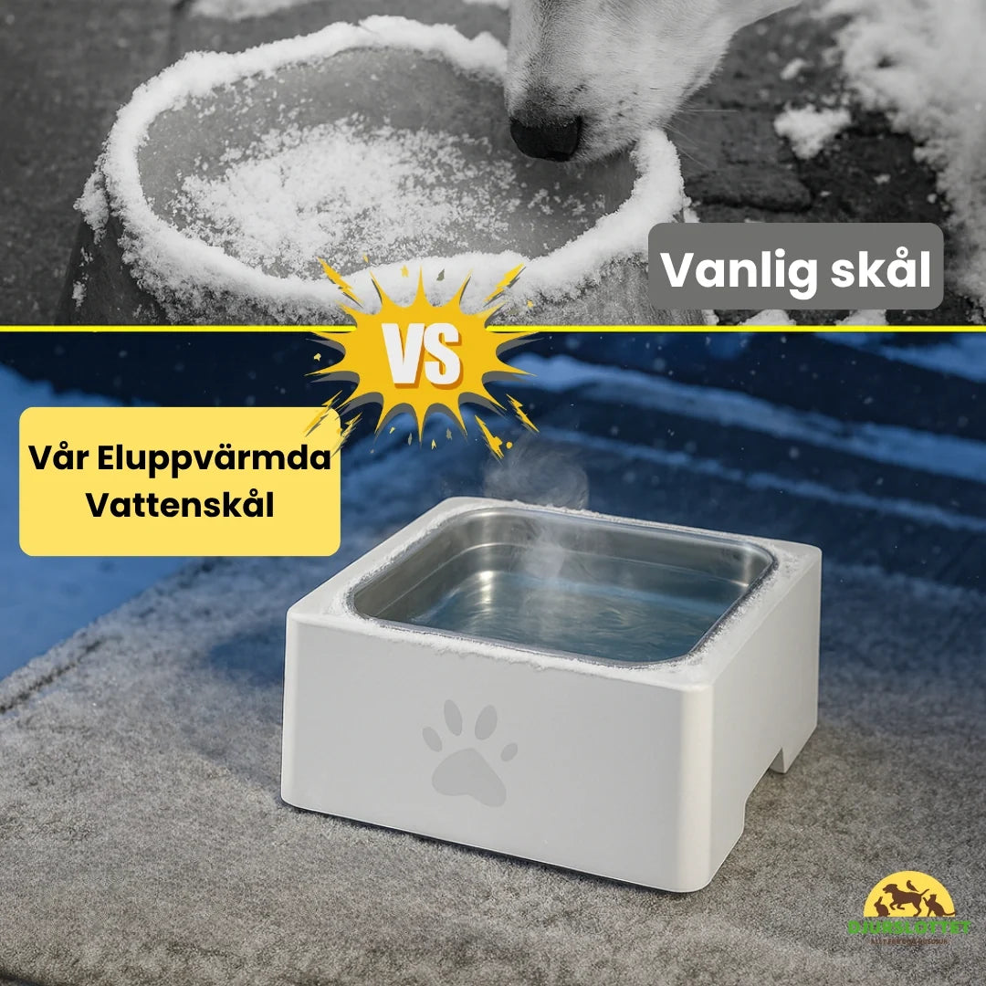 Electrically heated water bowl Our Electrically Heated Water Bowl Petifo