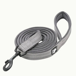 Grigio