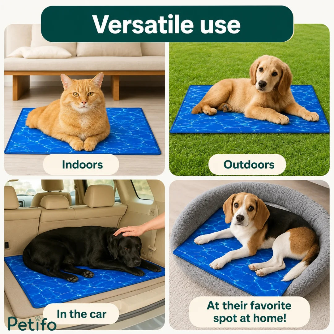 Four-panel showcase displaying the Petifo cooling mat used indoors, outdoors, in a car, and inside a pet bed.