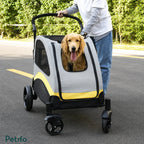Front view of a Golden Retriever looking out of a Petifo pet stroller for large dogs on a paved road