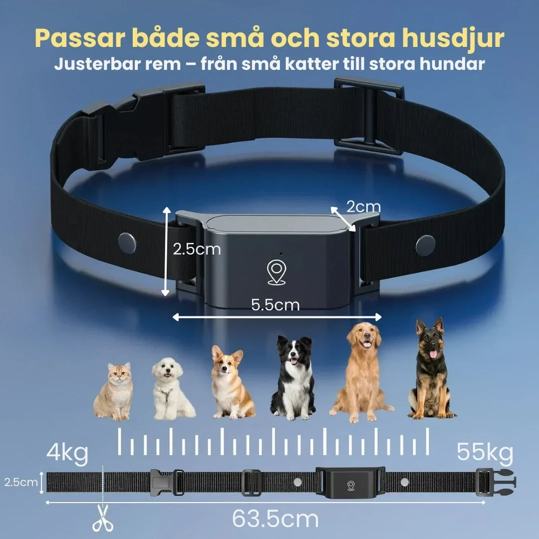 GPS Collar for Pets Product size - Petifo