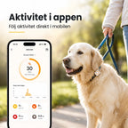Petracka GPS Tracker activity in the app - Petifo