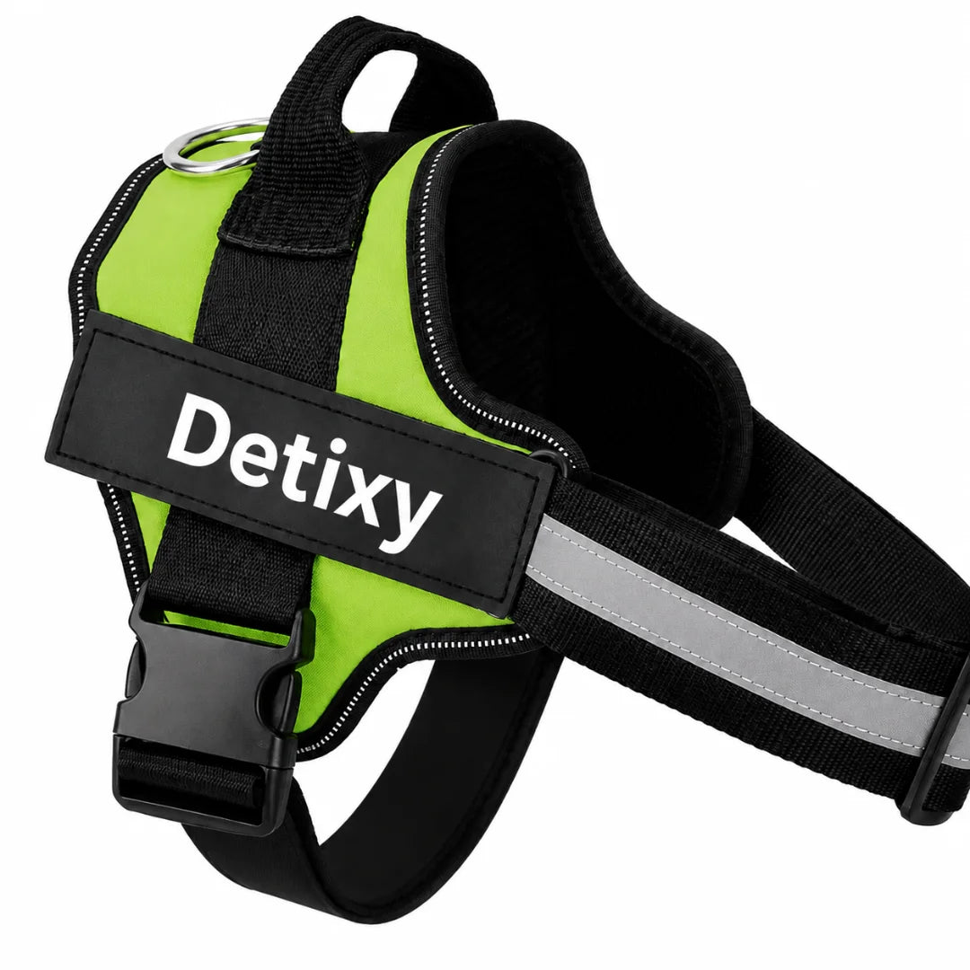 A bright green reflective dog harness with black straps, a quick-release buckle, a top metal leash ring, and a patch labeled "Detixy".