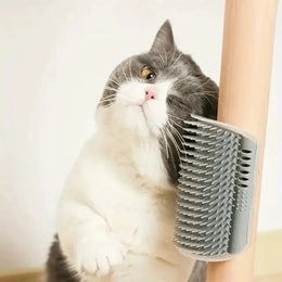 Grigio