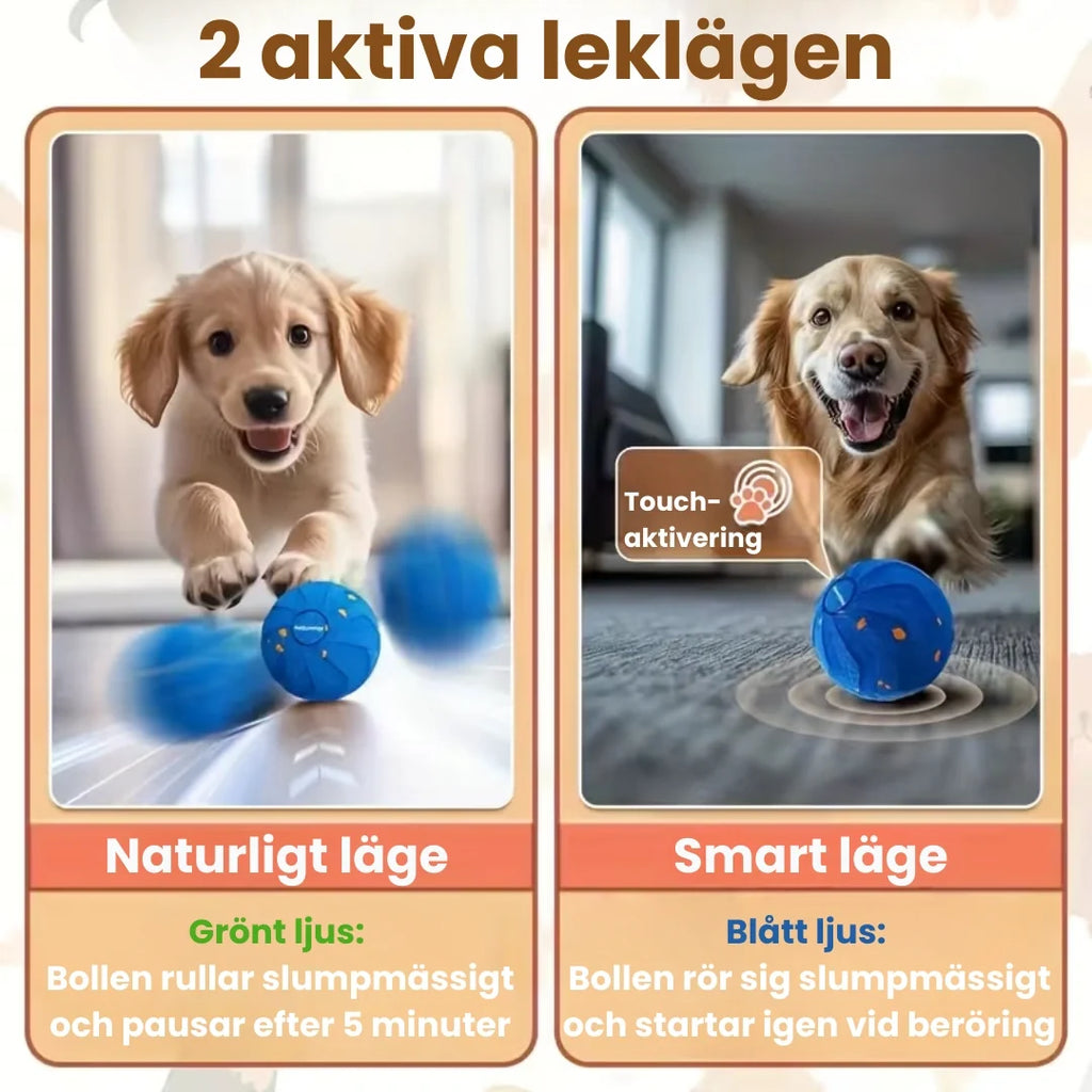 Dog Ball 2 active play modes - Petifo