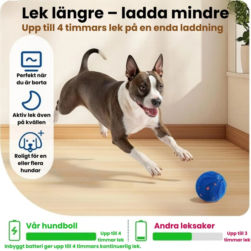 Dog Ball Play longer – charge less - Petifo