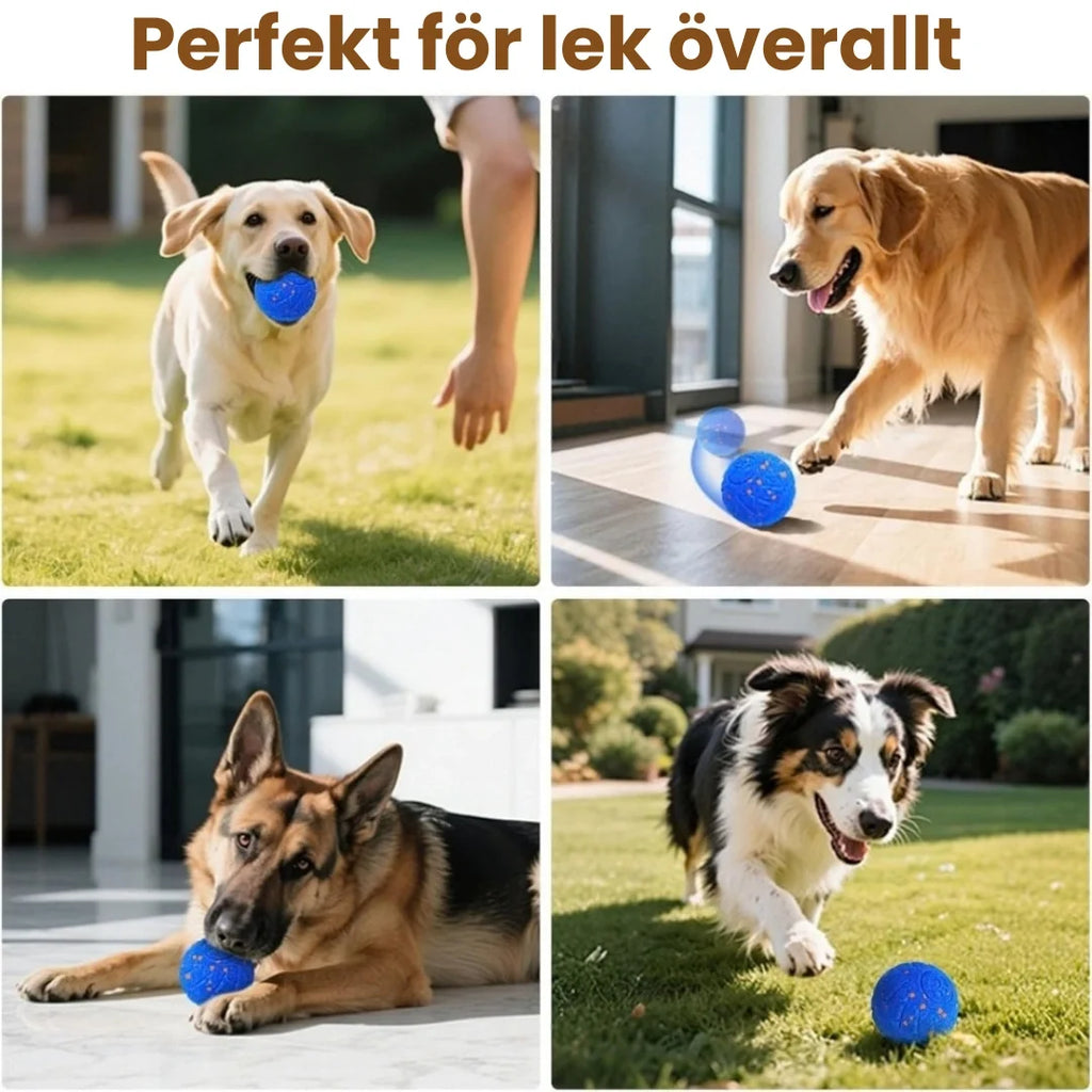 Dog Ball Perfect for play anywhere - Petifo