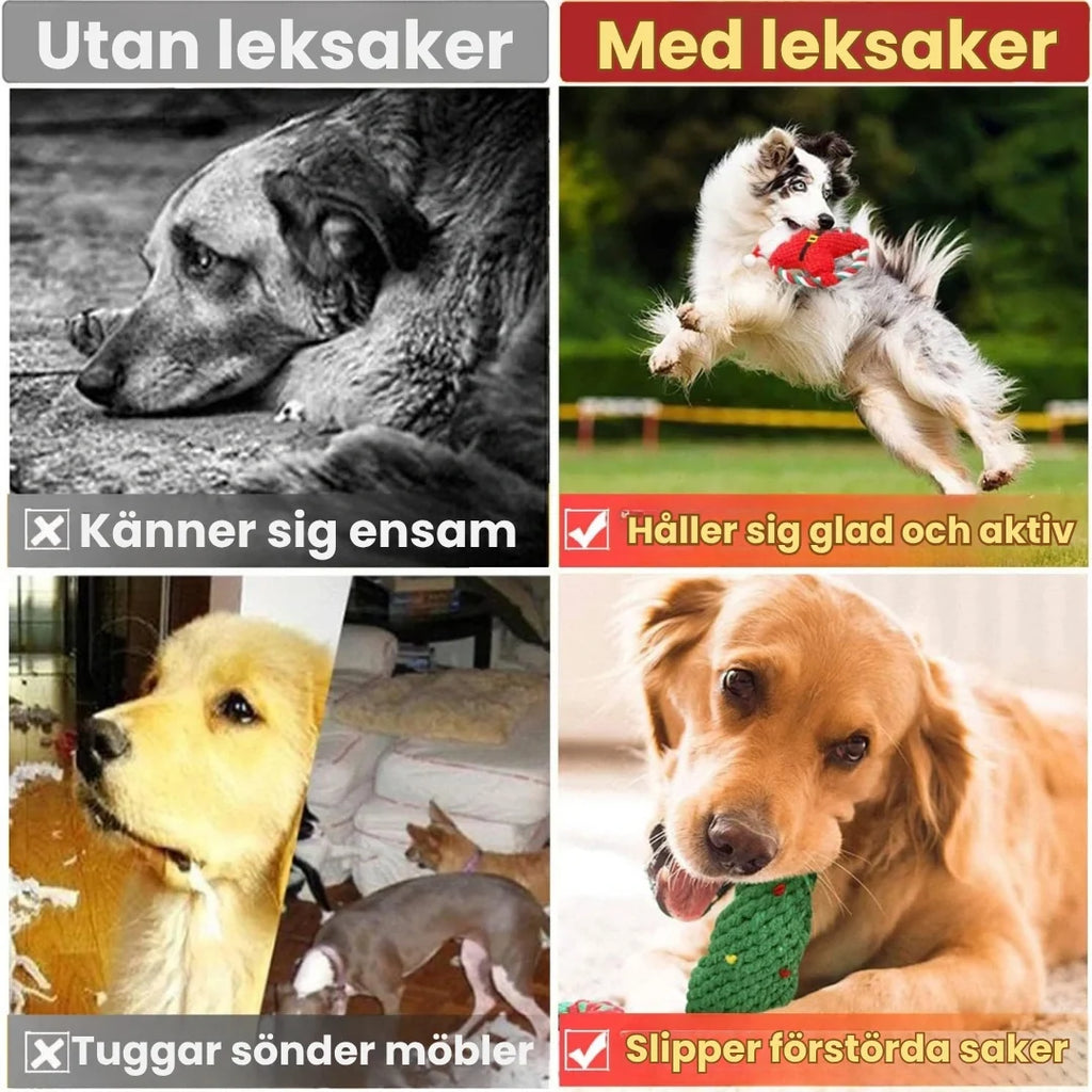 Christmas set with 8 tug toys for dogs — without toys vs with toys - Petifo