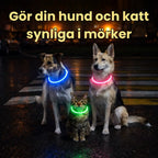 LED Collar for Dogs & Cats Make your dog and cat visible in the dark - Petifo