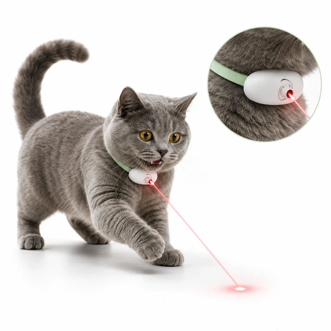 Laser Collar for cats - Petifo
