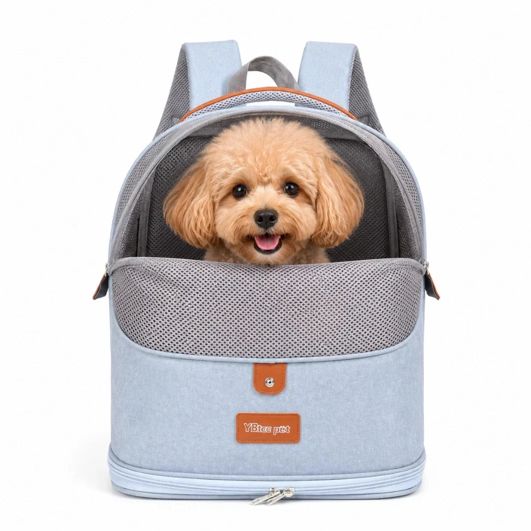 Light blue ergonomic pet carrier backpack with a front mesh panel and a smiling poodle puppy inside.