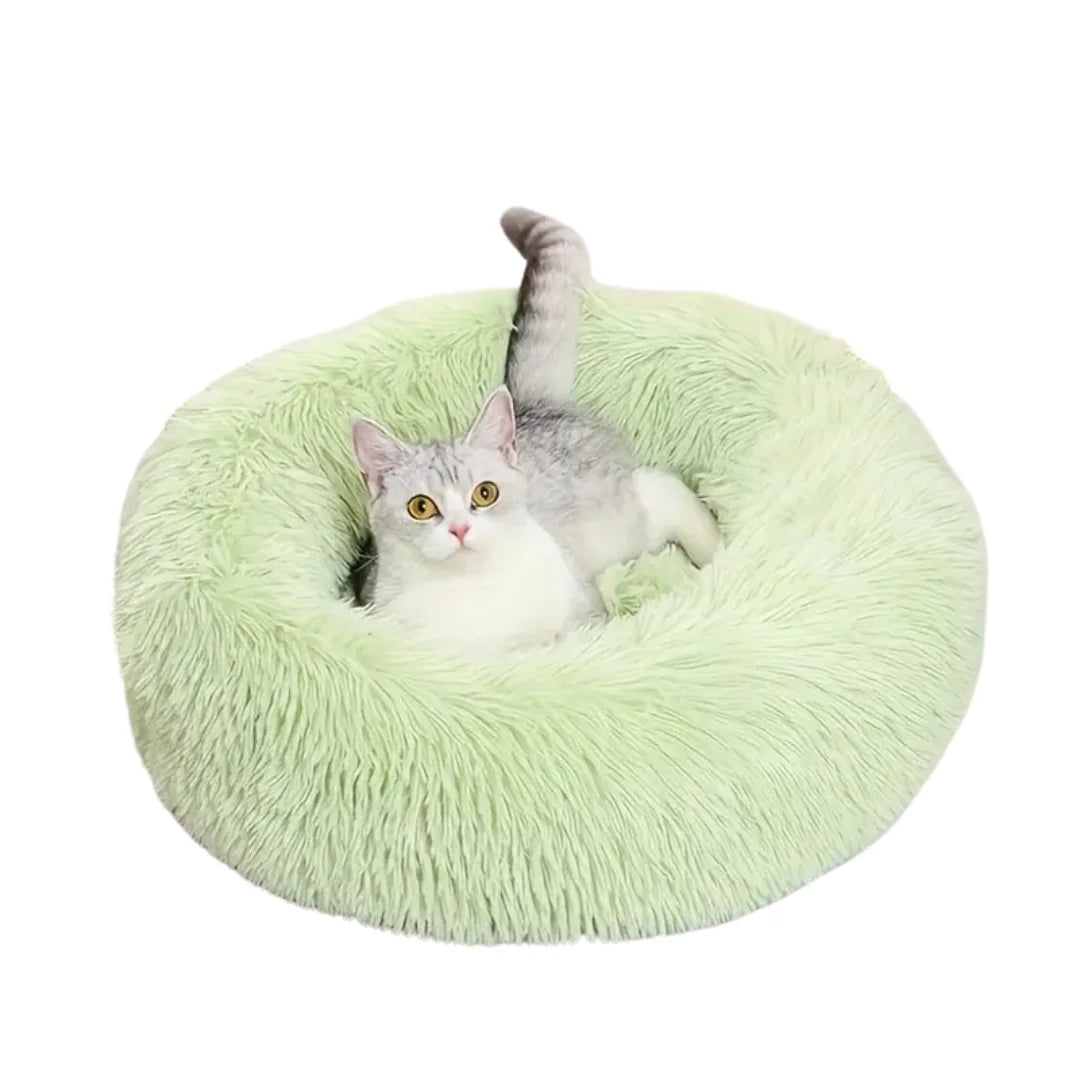Silver and white cat with bright yellow eyes lounging inside a light green plush pet bed.