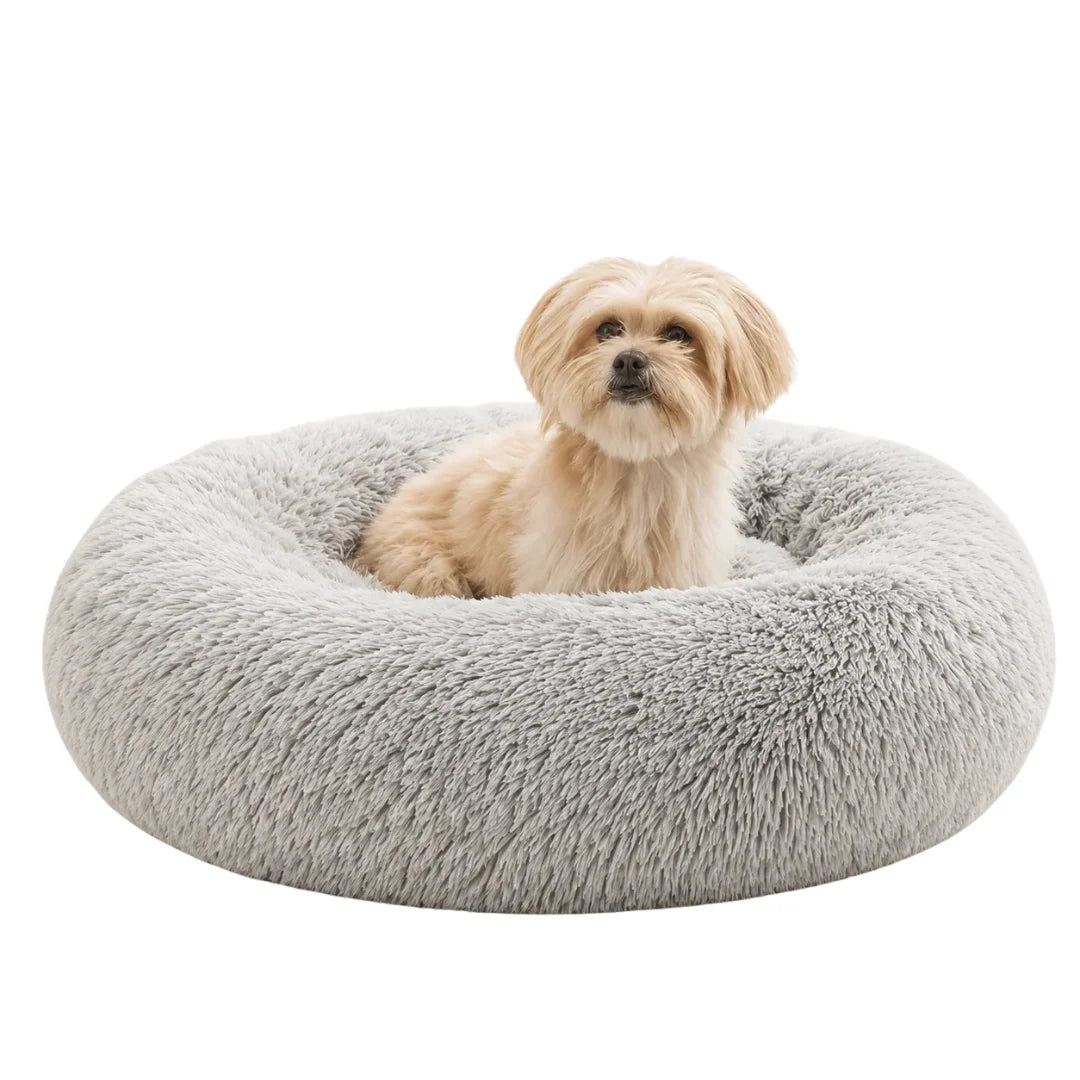 Small light brown terrier mix sitting in a soft light grey plush pet bed.