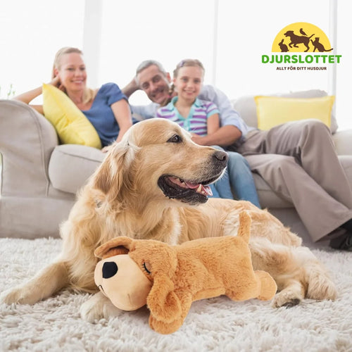 Calming dog toy with heartbeat Reduces anxiety and stress - Petifo
