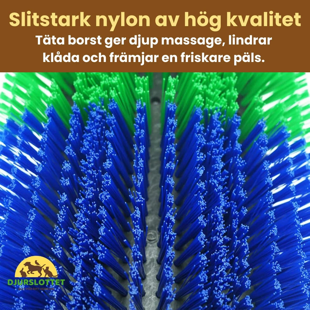 Massage brush for horse Hard-wearing high-quality nylon - Petifo