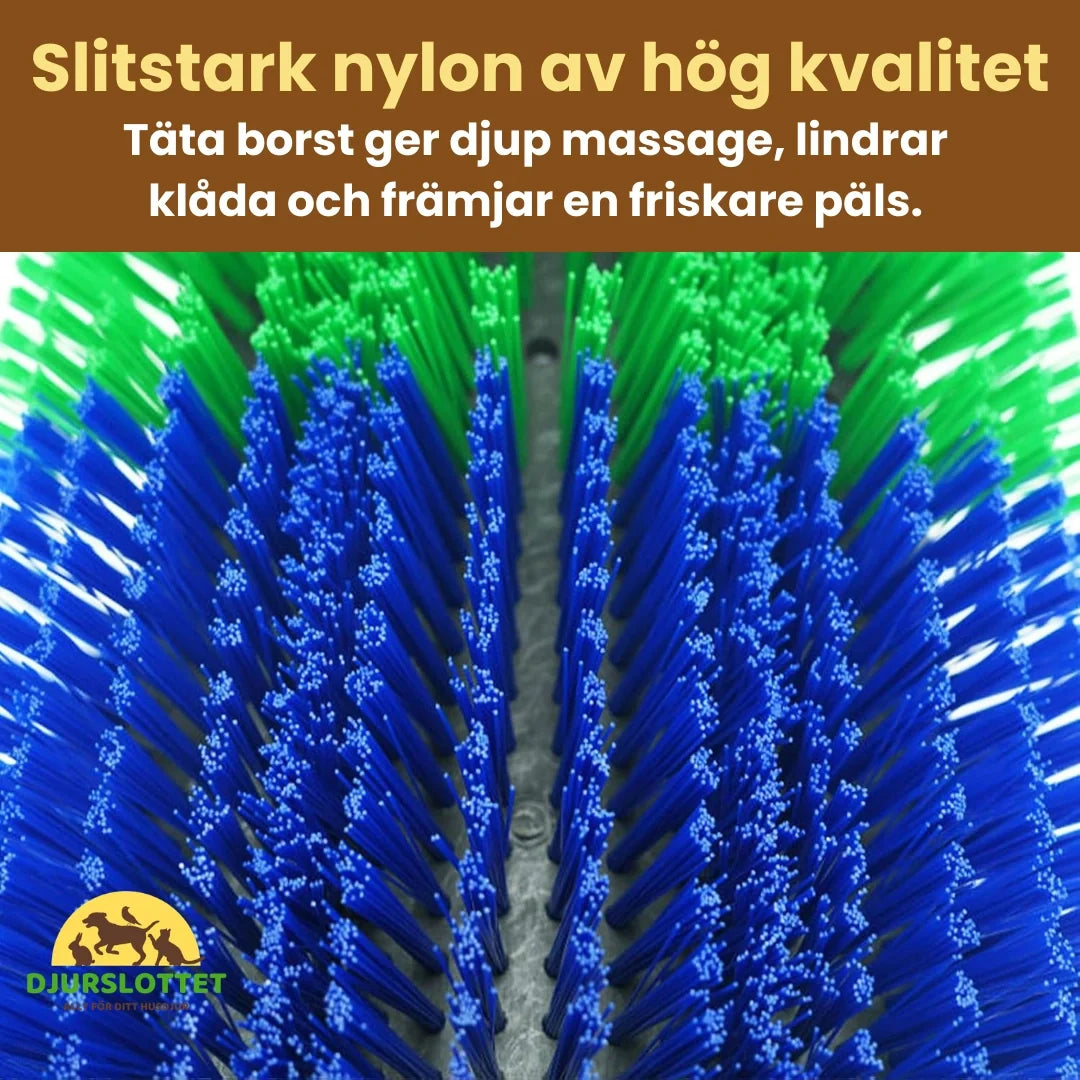 Massage brush for horse Hard-wearing high-quality nylon - Petifo