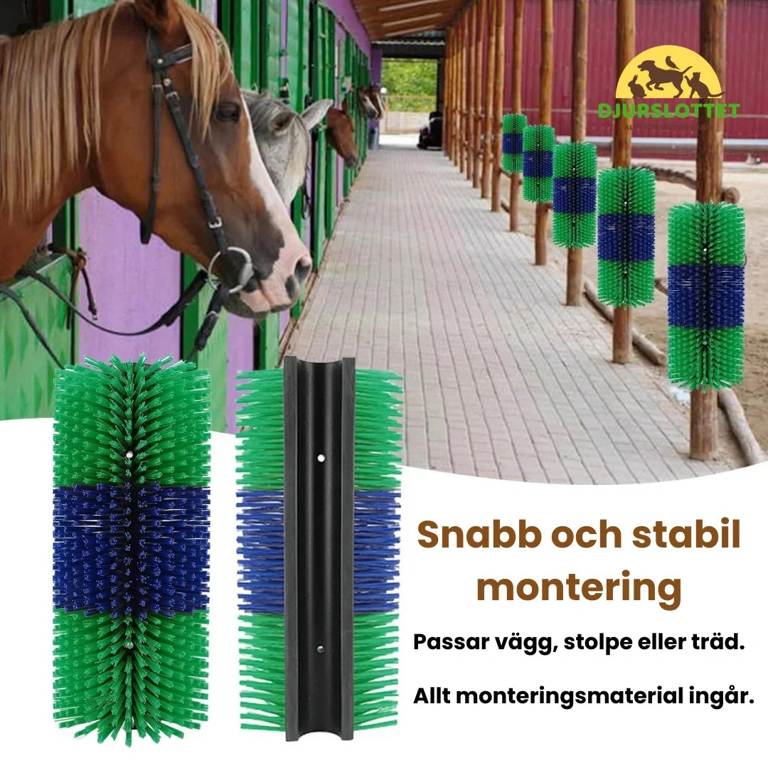 Massage brush for horse Fast and stable mounting - Petifo